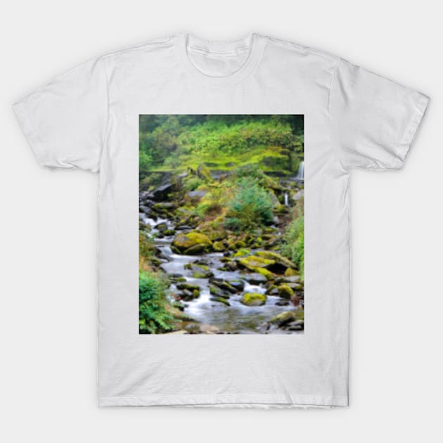 Glen Lyn Gorge T-Shirt by Femaleform